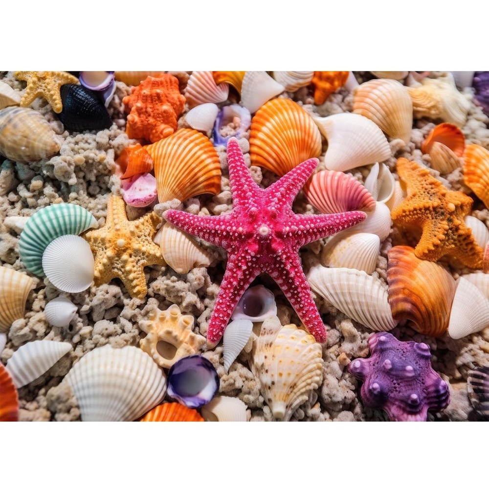 Puzzle Colorful Seashell and Starfish 1000 pieces